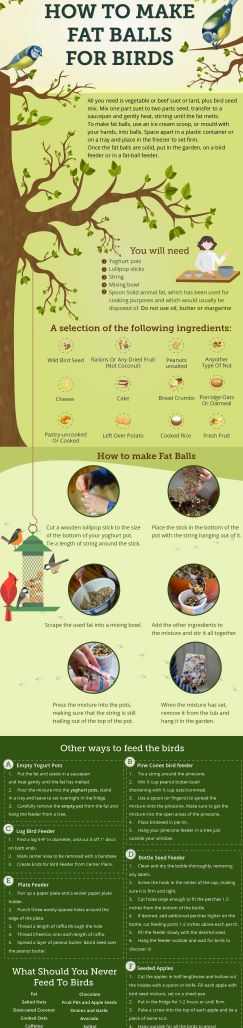 How To Make Fat Balls For Birds min 002 pic 2